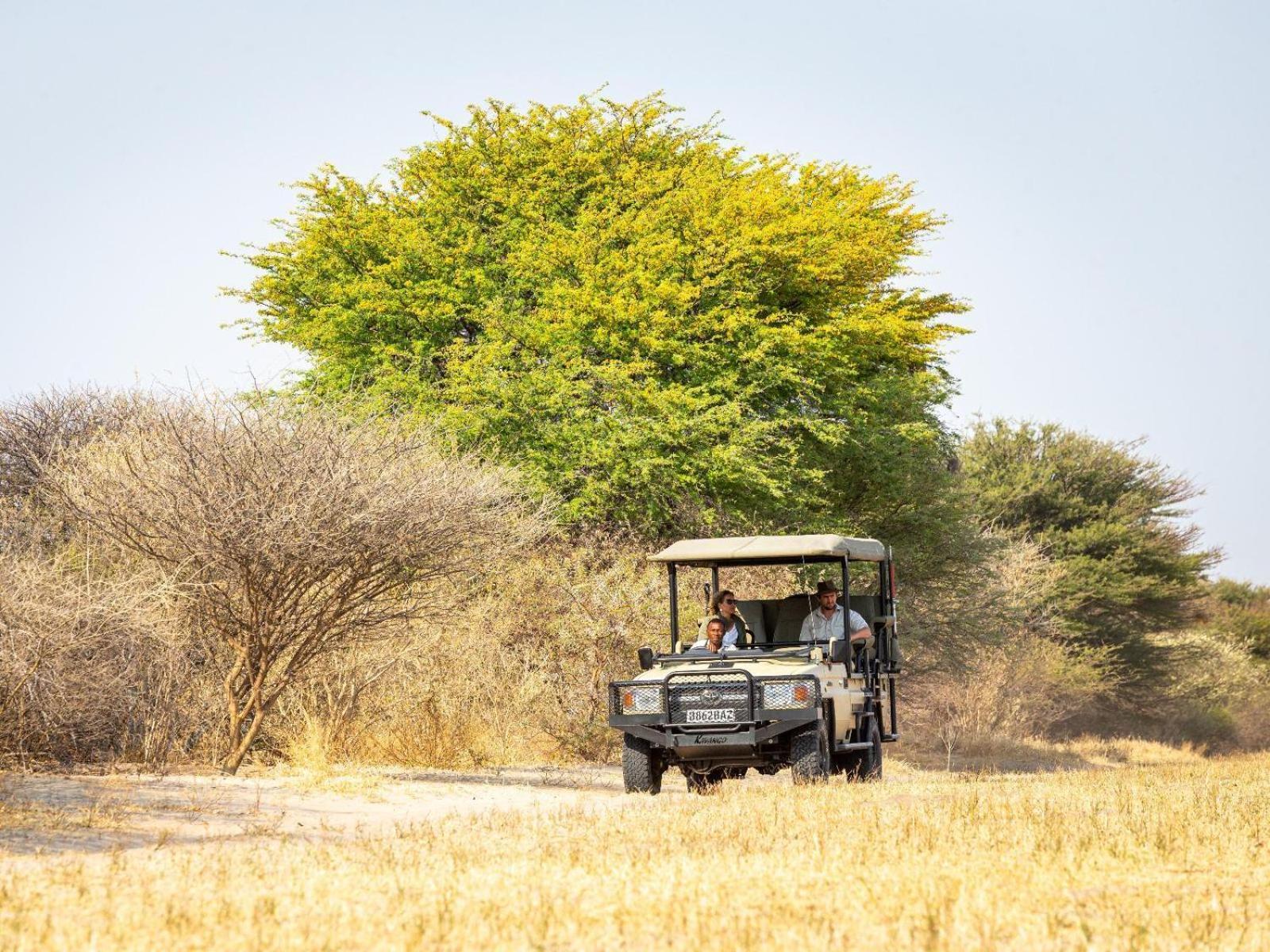 Evolve Back Kalahari Villa Central Kalahari Game Reserve Buitenkant foto